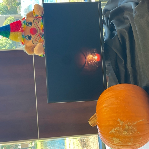 Pumpkin Contest 2022 - Digital Cinema & Television Production