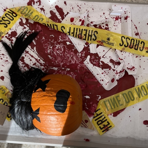 Pumpkin Contest 2024 - Biomedical Science - Mia Sweetman - PM