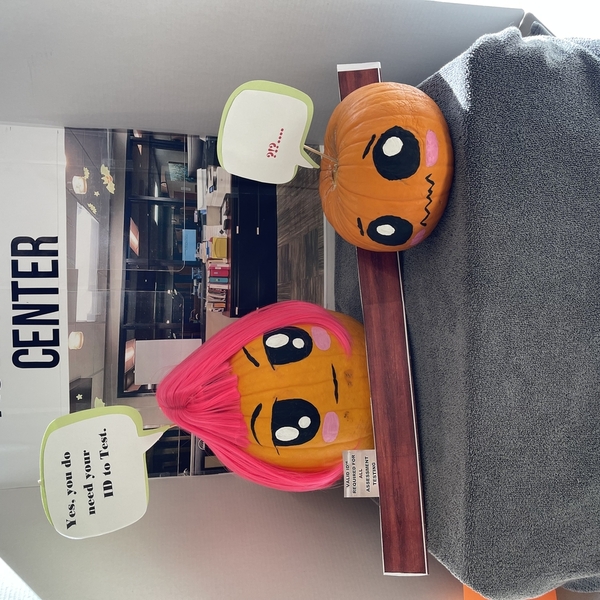 Pumpkin Contest 2024 - Other - 