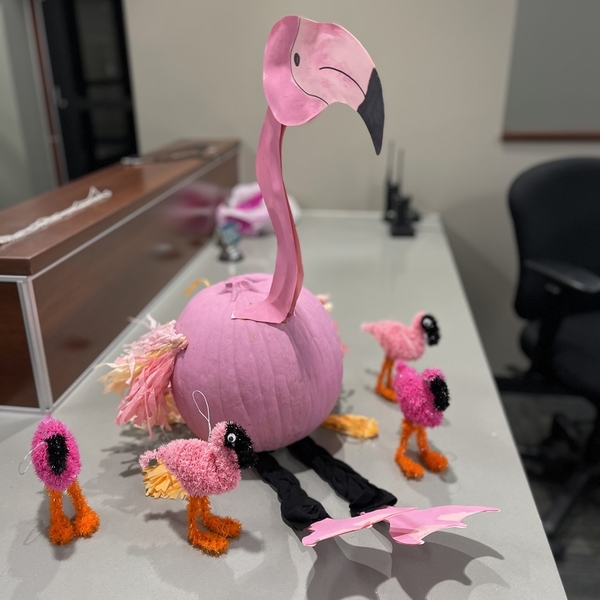 Pumpkin Contest 2024 - Other - 
