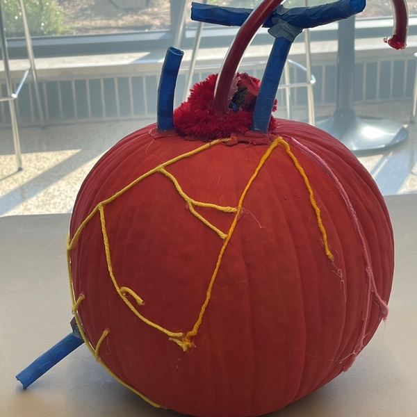 Pumpkin Contest - Biomedical Science - Mia Sweetman