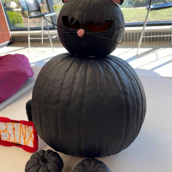 Pumpkin Contest - Veterinary Assistant - Michelle.Casey - AM