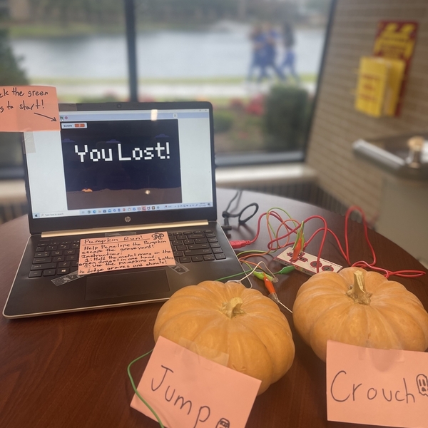 Pumpkin Contest 2023 - Programming & Software Development - Victor Rook