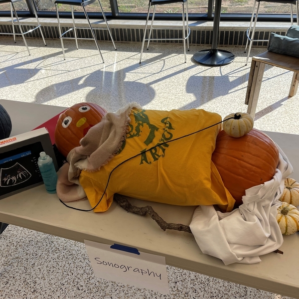 Pumpkin Contest - Diagnostic Medical Sonography - Heather Stacy